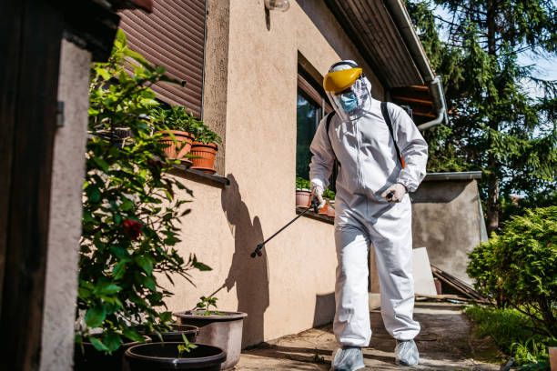 Reliable Louisville, GA Pest Control Solutions