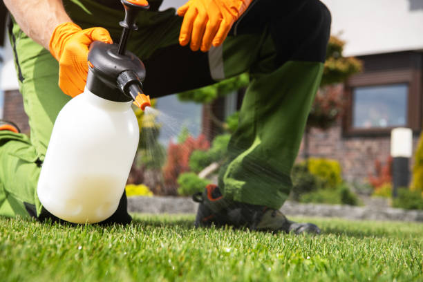 Best Wasp Removal Services  in Louisville, GA