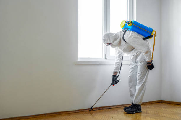 Flea Control Services in Louisville, GA