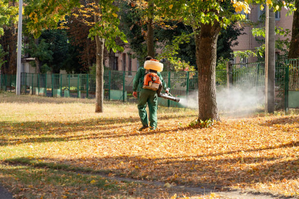 Best Affordable Pest Control Services  in Louisville, GA