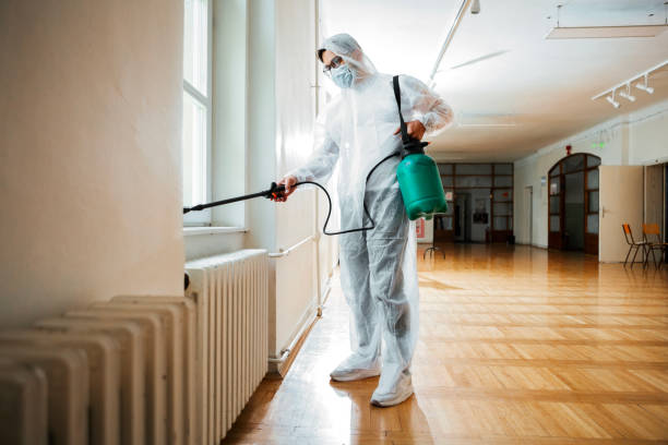 Best Affordable Pest Control Services  in Louisville, GA