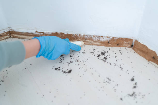 Best Residential Pest Control  in Louisville, GA