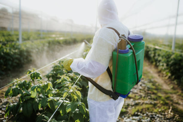 Best Emergency Pest Control  in Louisville, GA